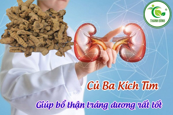 củ ba kích tím thảo dược thanh bình