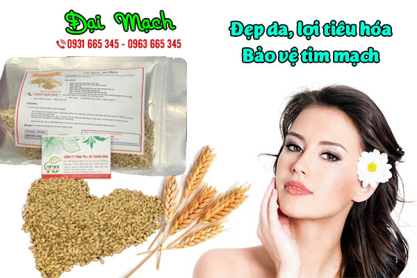 đại mạch thảo dược thanh bình