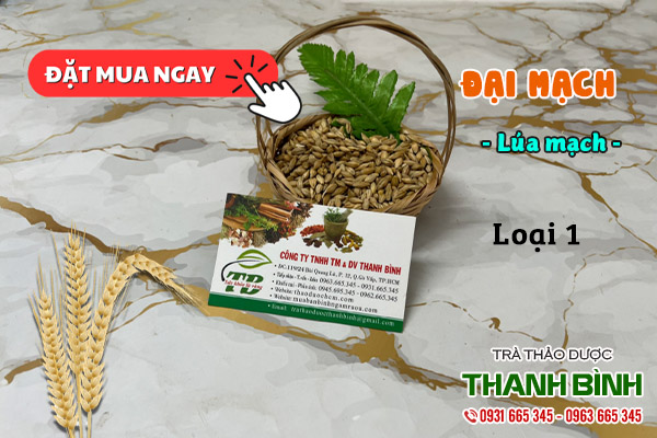 đại mạch thảo dược thanh bình