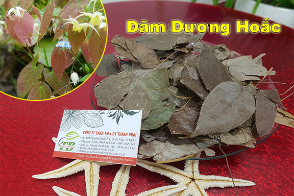 dâm dương hoắc thảo dược thanh bình