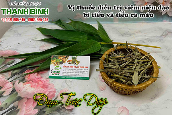 đạm trúc diệp tại thảo dược thanh bình