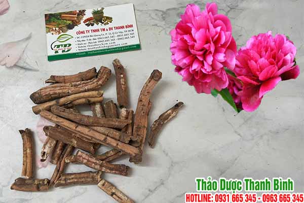 đan bì tại thảo dược Thanh Bình