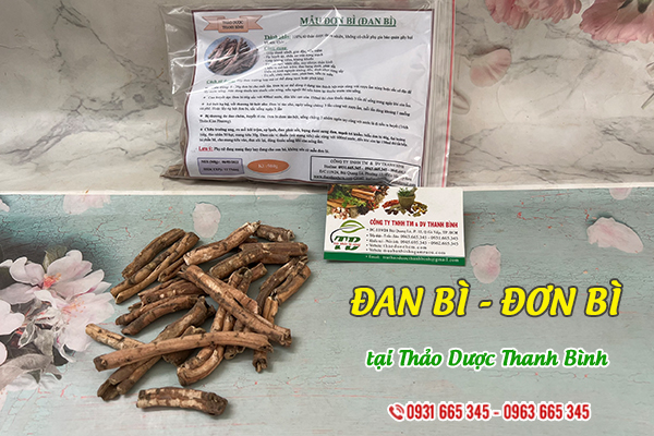 Đan bì Thảo Dược Thanh Bình