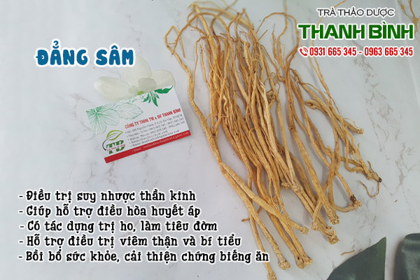 đẳng sâm tại thảo dược Thanh Bình