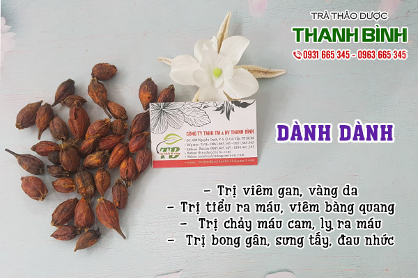 dành dành tại thảo dược Thanh Bình