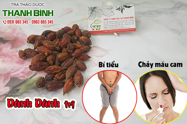 dành dành thảo dược thanh bình