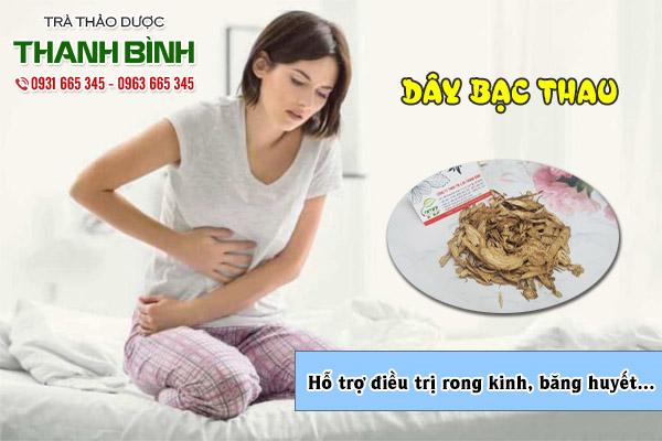 dây bạc thau tại thảo dược Thanh Bình