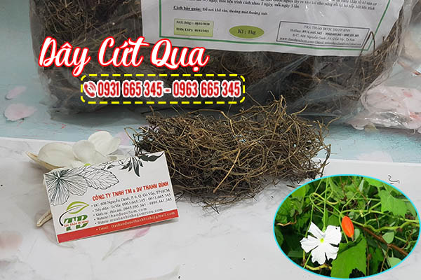 dây cứt quạ thảo dược thanh bình