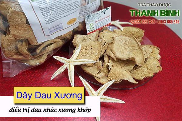 dây đau xương thảo dược thanh bình