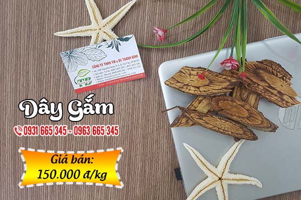 dây gắm thảo dược thanh bình