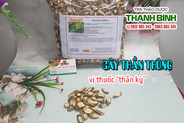 cây thần thông thảo dược thanh bình