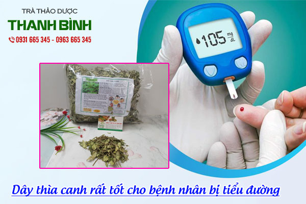 dây thìa canh thảo dược thanh bình