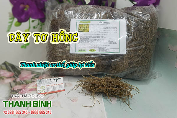 dây tơ hồng thảo dược thanh bình