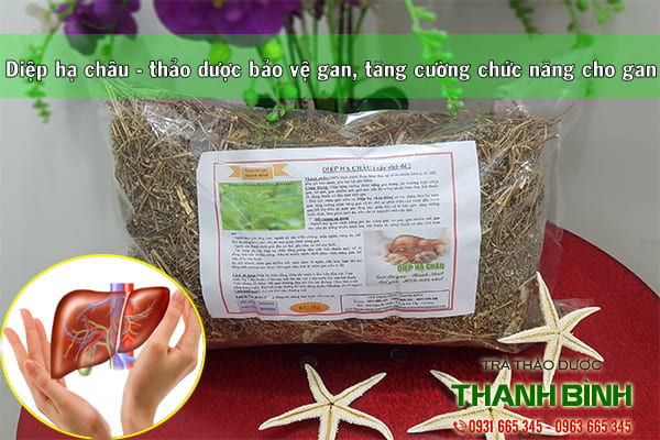 diệp hạ châu thảo dược thanh bình