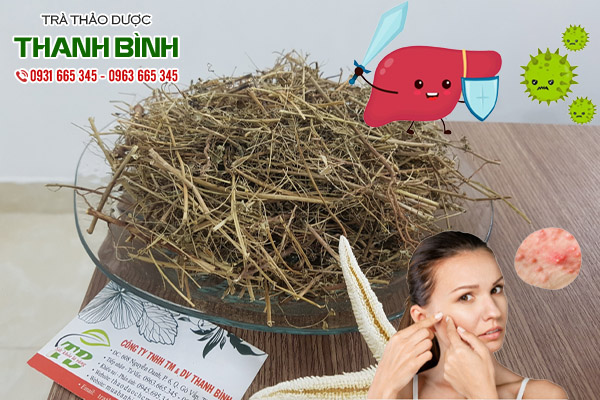 diệp hạ châu thảo dược thanh bình