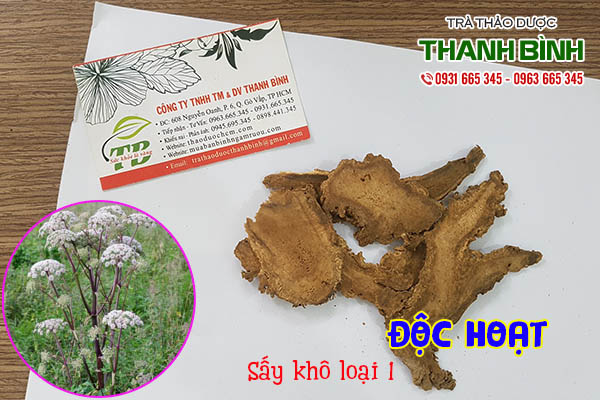 độc hoạt thảo dược thanh bình