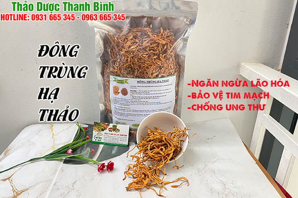 đông trùng hạ thảo tại thảo dược thanh bình