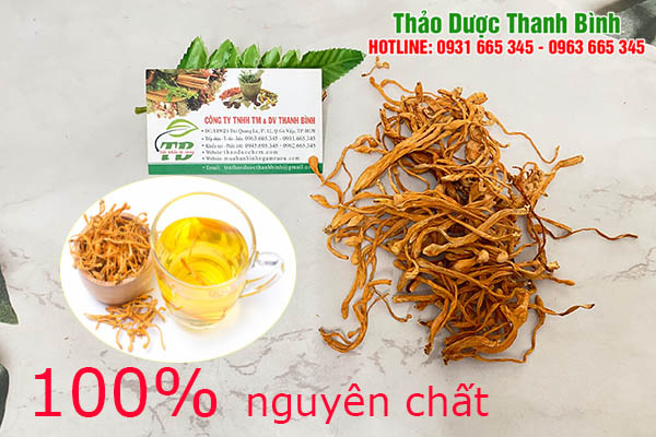 đông trùng hạ thảo uy tín thảo dược thanh bình