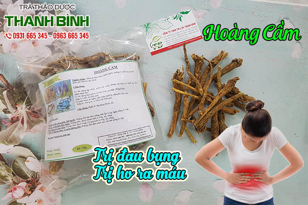 hoàng cầm thảo dược thanh bình