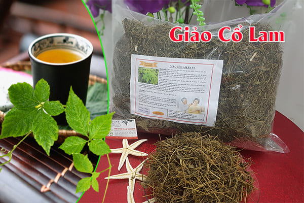 giảo cổ lam thảo dược thanh bình