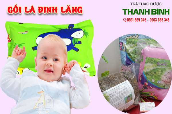 gối lá đinh lăng thảo dược Thanh Bình