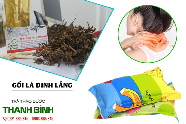 gối lá đinh lăng thảo dược Thanh Bình