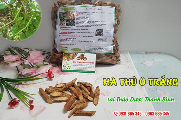 Hà thủ ô trắng Thảo Dược Thanh Bình