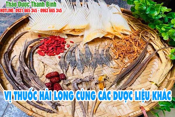 hải long