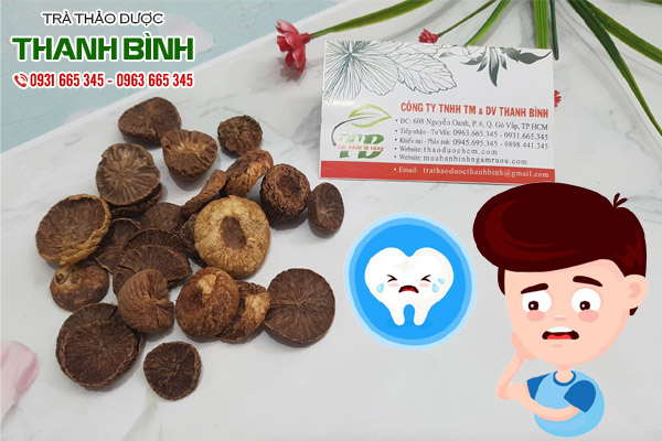 hạt cau tại thảo dược Thanh Bình