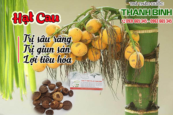 hạt cau thảo dược thanh bình