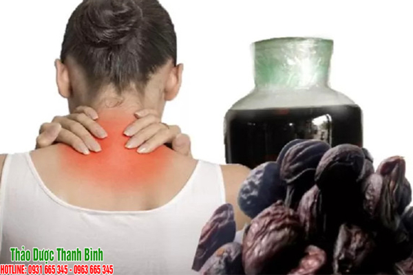 hạt dổi tại thảo dược thanh bình