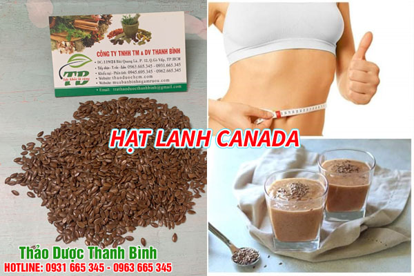 hạt lanh Canada tại thảo dược Thanh Bình