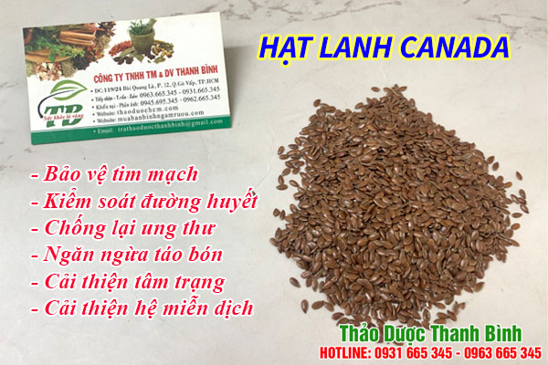 hạt lanh Canada tại thảo dược Thanh Bình