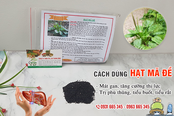 Hạt mã đề (xa tiền tử) Thảo Dược Thanh Bình