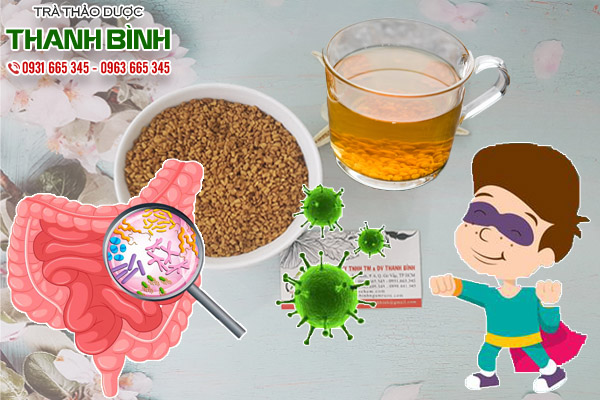 hạt methi ấn độ tại thảo dược Thanh Bình