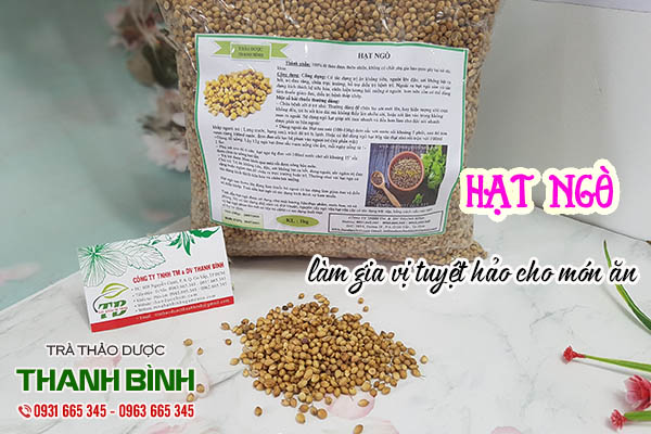 hạt ngò thảo dược thanh bình