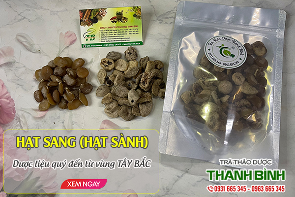 Hạt sang (hạt sành) Thảo Dược Thanh Bình