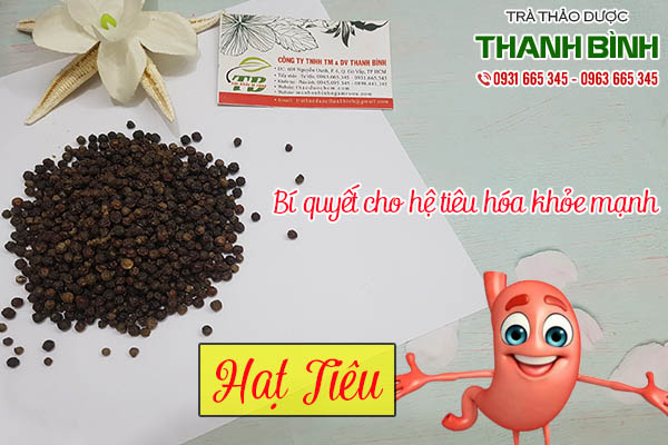 hạt tiêu thảo dược thanh bình