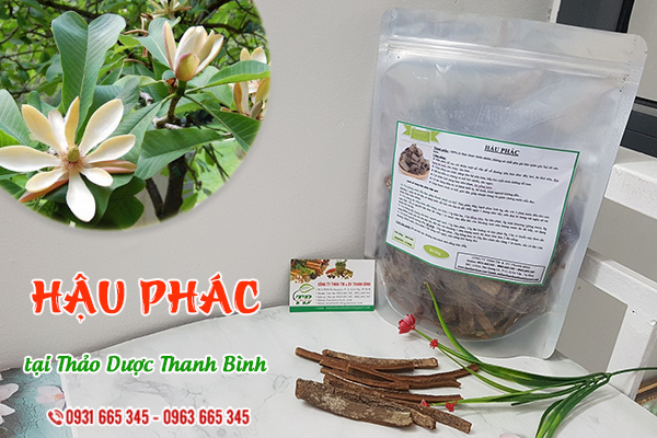 Hậu phác Thảo Dược Thanh Bình