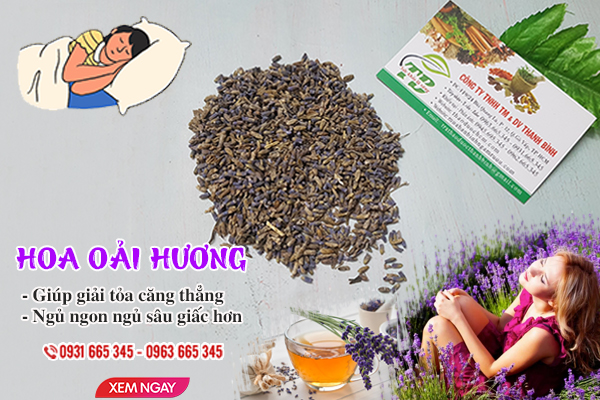 Hoa oải hương Thảo Dược Thanh Bình