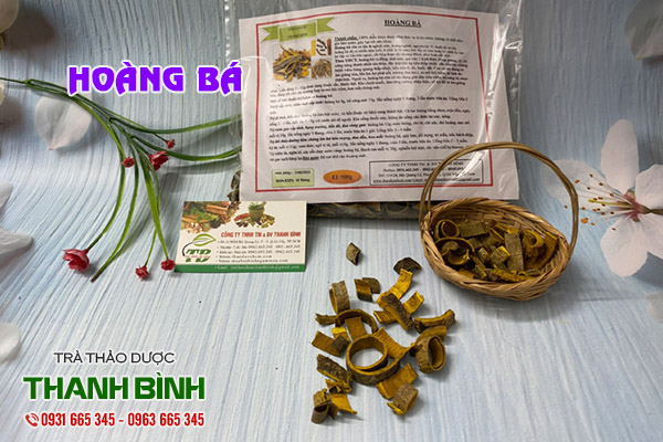 hoàng bá tại thảo dược thanh bình