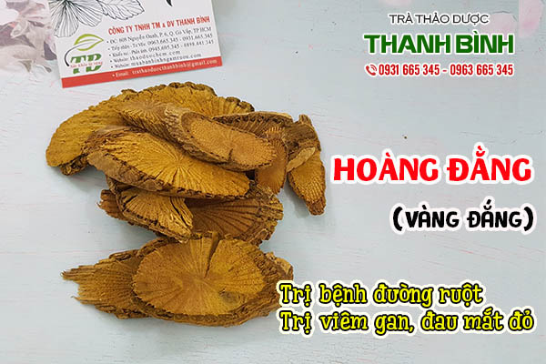 hoàng đằng thảo dược thanh bình