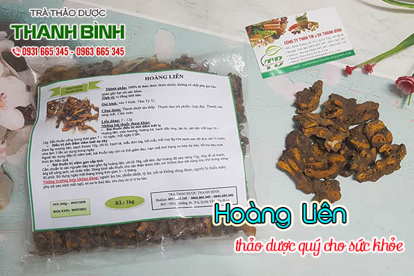 hoàng liên thảo dược thanh bình