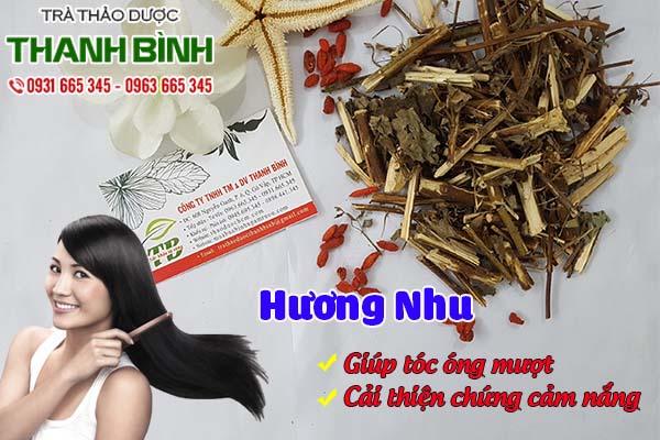 hương nhu thảo dược thanh bình