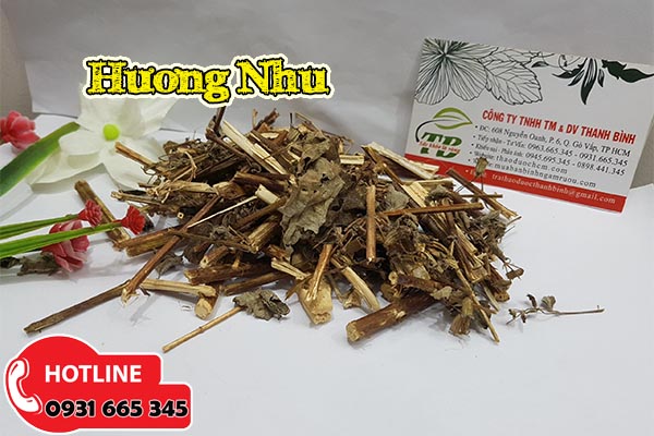 hương nhu thảo dược thanh bình