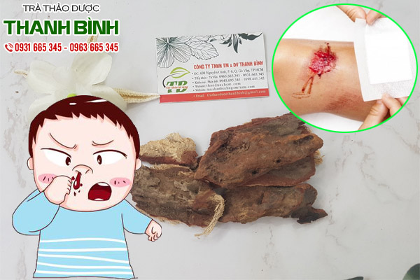 huyết giác tại thảo dược Thanh Bình