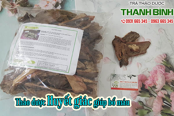 huyết giác thảo dược thanh bình