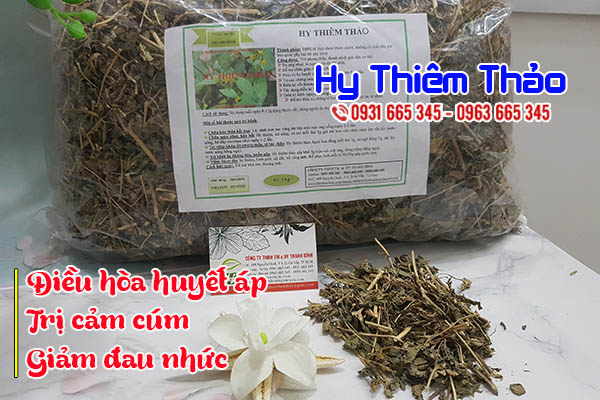 hy thiêm thảo thảo dược thanh bình