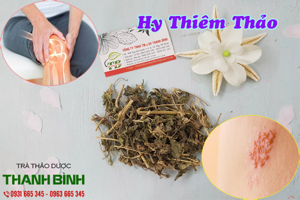 hy thiêm thảo tại thảo dược Thanh Bình