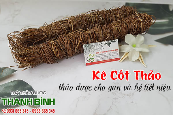 kê cốt thảo thảo dược thanh bình